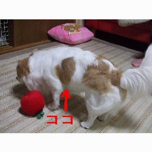 新規イメージ.JPG