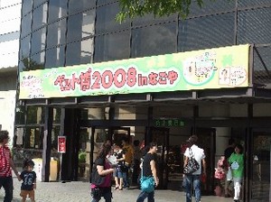 DSCF0468.JPG