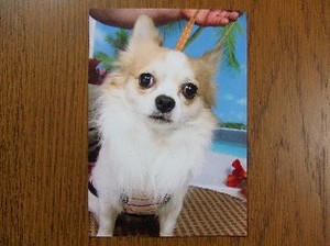DSCF0475.JPG