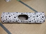 DSCF0540.JPG