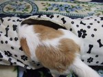 DSCF0557.JPG