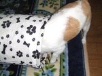DSCF0586.JPG