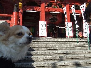 DSCF0721.JPG