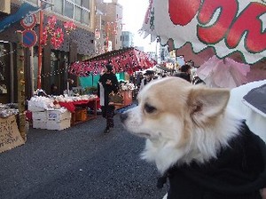 DSCF0732.JPG