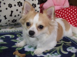 DSCF1026.JPG