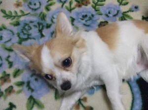 DSCF1035.JPG