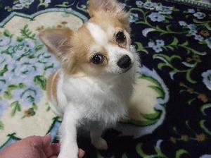 DSCF1070.JPG