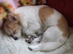 DSCF1085.JPG
