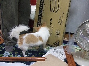 DSCF1105.JPG