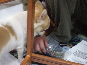 DSCF1106.JPG