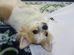 DSCF1112.JPG