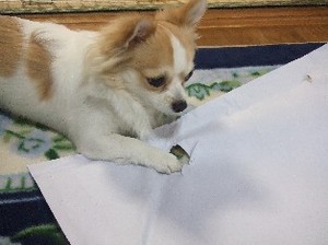 DSCF1113.JPG