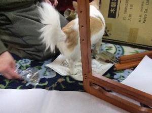 DSCF1122.JPG