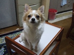 DSCF1140.JPG