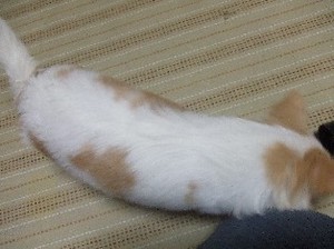 DSCF1256.JPG