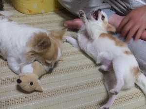 DSCF1264.JPG