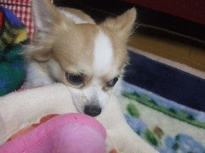 DSCF1441.JPG