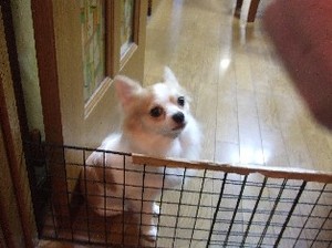 DSCF2209.JPG