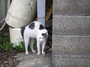 DSCF2553.JPG
