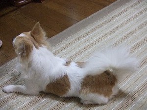 DSCF2595.JPG