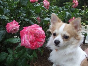 DSCF2714.JPG