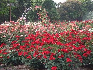 DSCF2716.JPG