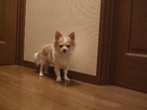 DSCF2760.JPG