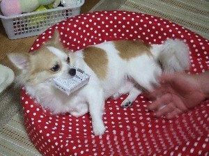 DSCF2802.JPG