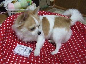 DSCF2810.JPG
