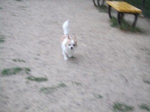 DSCF2861.JPG