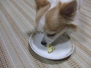 DSCF4252.JPG