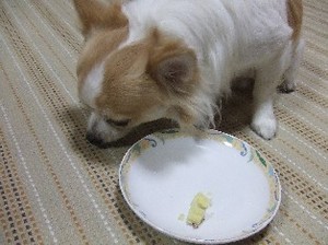 DSCF4253.JPG