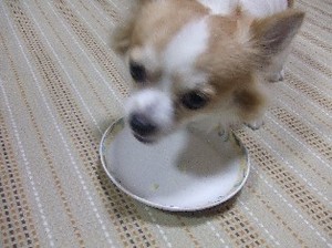 DSCF4254.JPG