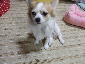 DSCF5143.JPG