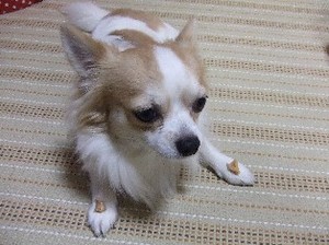 DSCF5149.JPG