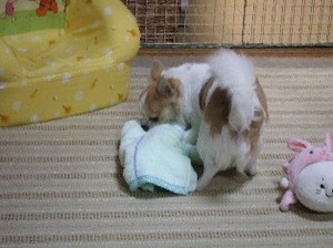 DSCF5319.JPG