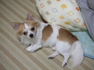 DSCF5639.JPG