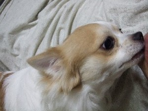 DSCF5645.JPG