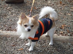 DSCF5825.JPG