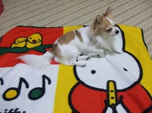 DSCF5866.JPG