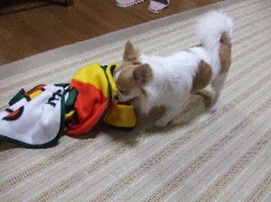 DSCF5877.JPG