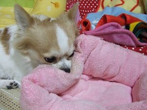 DSCF5910.JPG