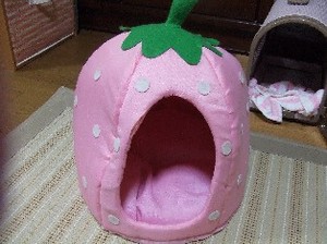 DSCF5913.JPG