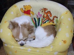 DSCF7685.JPG