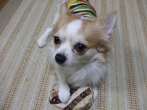 DSCF7705.JPG