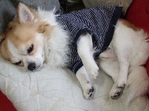 DSCF8203.JPG