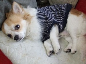 DSCF8206.JPG