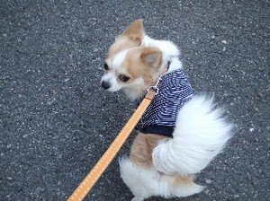 DSCF8216.JPG
