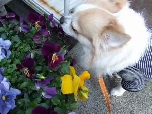 DSCF8218.JPG