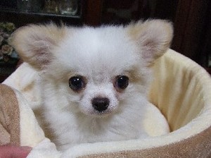 DSCF8505.JPG